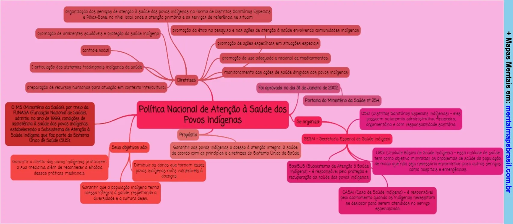 Um mapa mental detalhando a Política Nacional de Atenção à Saúde dos Povos Indígenas, incluindo diretrizes, objetivos, organização e estrutura.