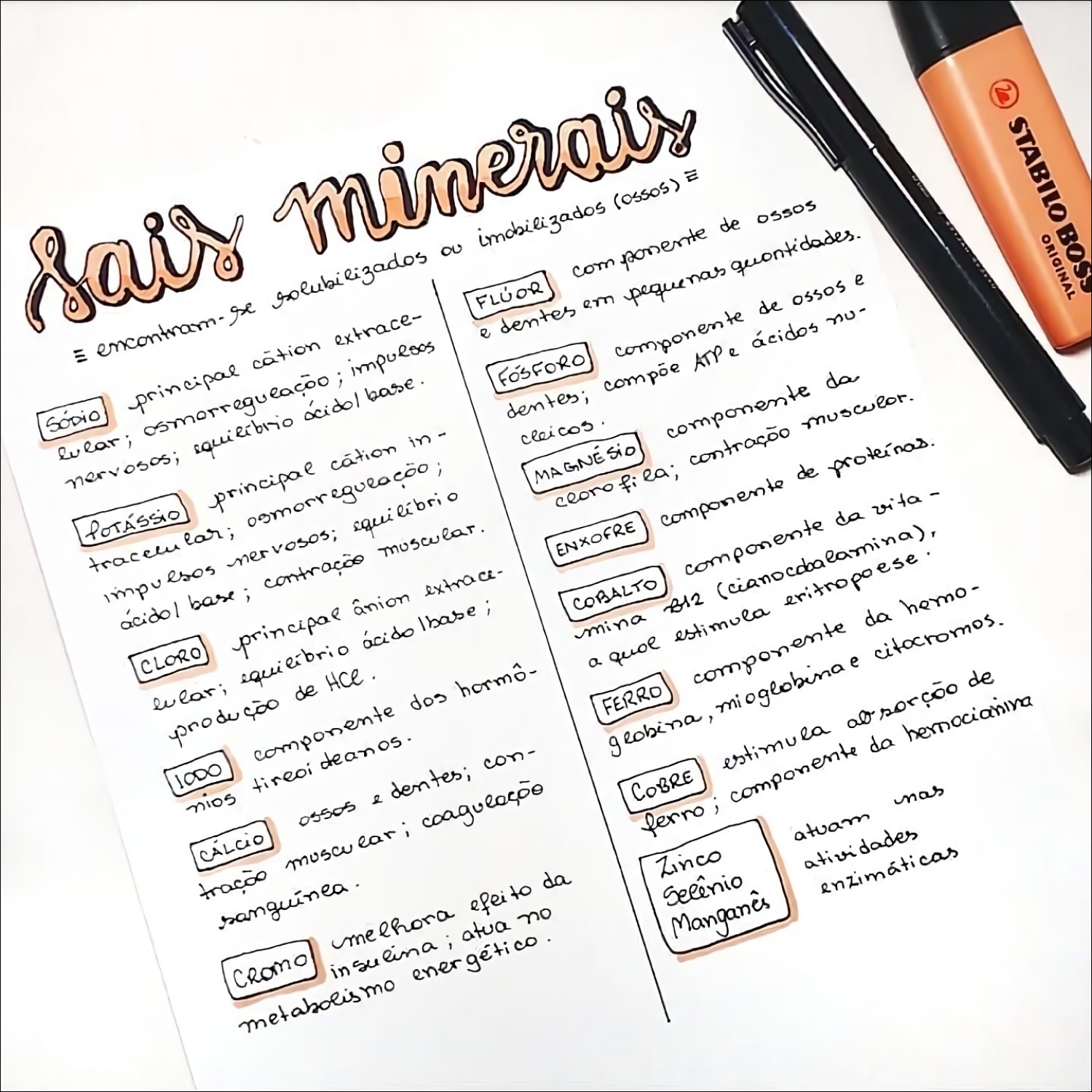Mapa mental sobre as funções dos sais minerais em biologia, mostrando os principais minerais e suas funções no organismo.