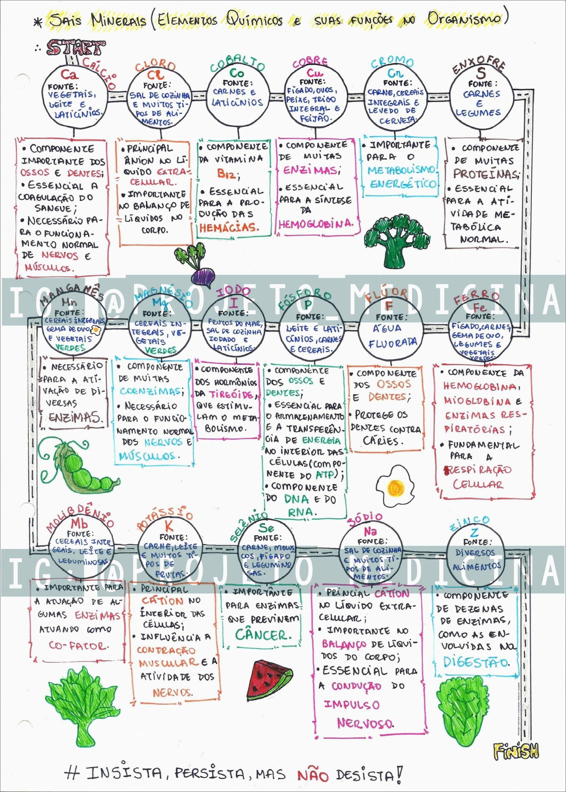 Mapa mental sobre sais minerais, elementos químicos e suas funções no organismo, incluindo fontes alimentares e descrições detalhadas de cada mineral.